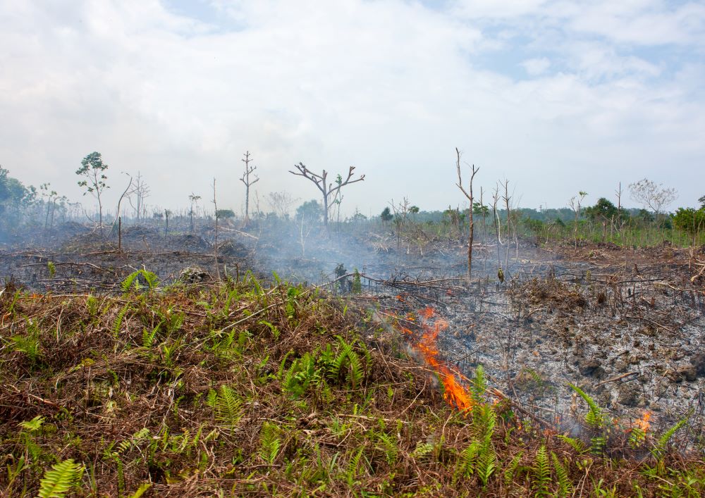 A fire set to repel mosquitoes in Milne Bay Province, Papua New Guinea. (Grist/Art in All of Us/Corbis via Getty Images/Eric Lafforgue)